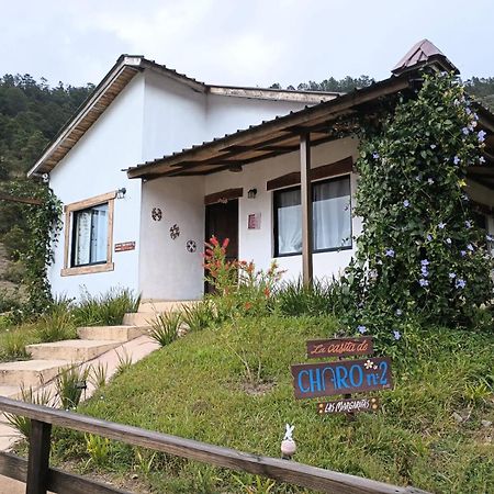 La Casita De Charo 2 Villa Constanza Eksteriør bilde